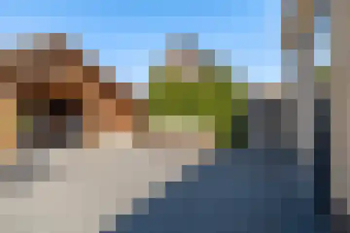 't Ganghout 2 St.-Annaparochie thumbnail 32