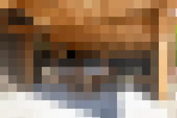 't Ganghout 2 St.-Annaparochie thumbnail 33