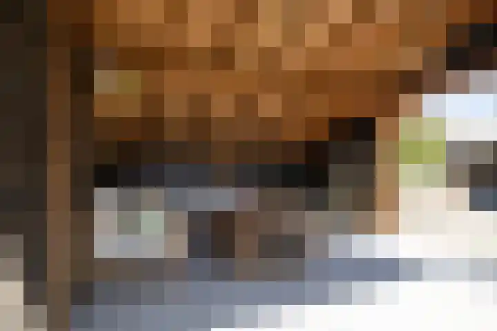 't Ganghout 2 St.-Annaparochie thumbnail 34