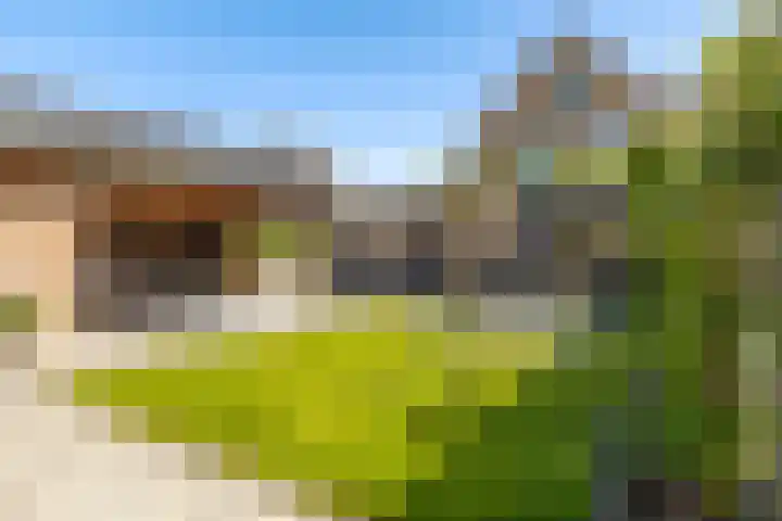 't Ganghout 2 St.-Annaparochie thumbnail 35