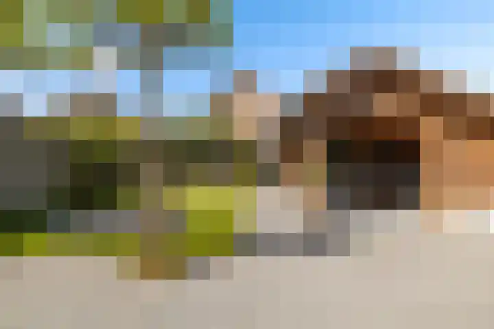 't Ganghout 2 St.-Annaparochie thumbnail 36