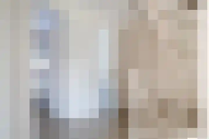 't Ganghout 2 St.-Annaparochie thumbnail 38