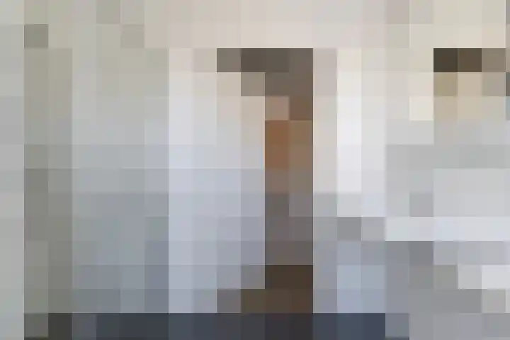 't Ganghout 2 St.-Annaparochie thumbnail 42