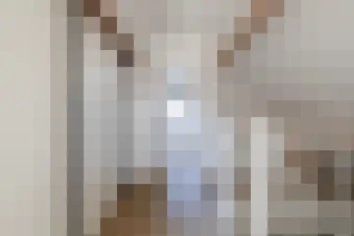 't Ganghout 2 St.-Annaparochie thumbnail 48