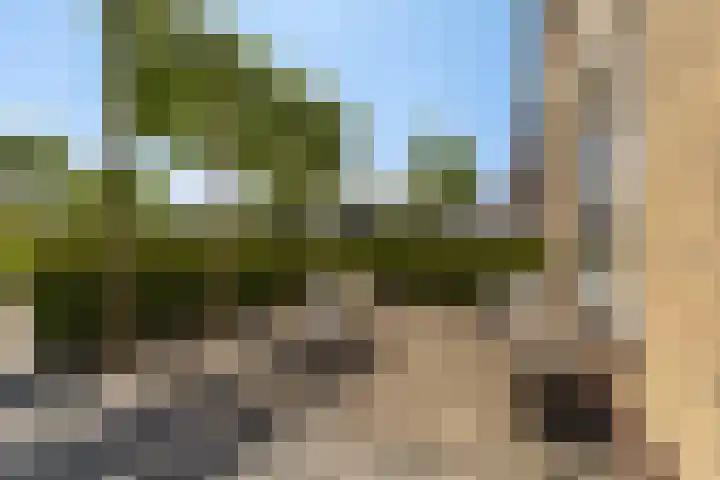 't Ganghout 2 St.-Annaparochie thumbnail 5