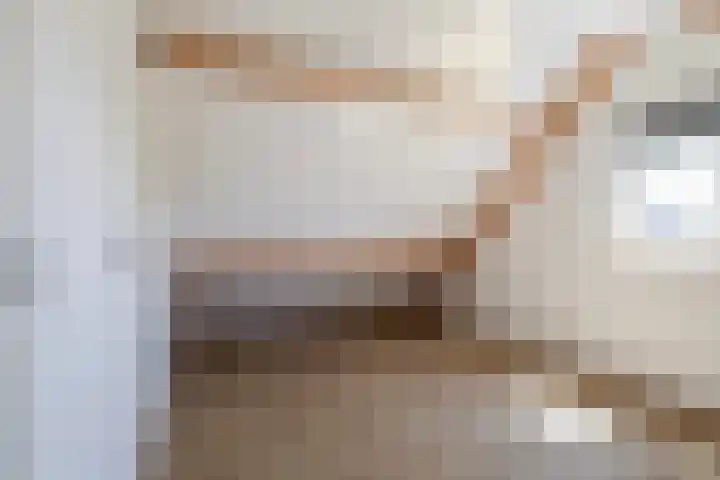 't Ganghout 2 St.-Annaparochie thumbnail 52