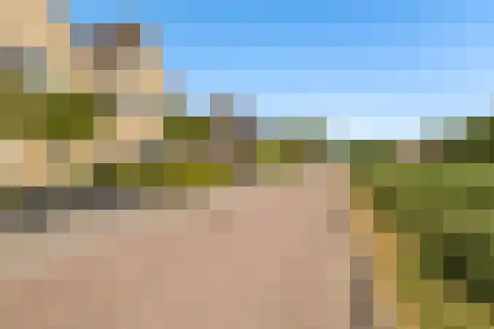 't Ganghout 2 St.-Annaparochie thumbnail 53
