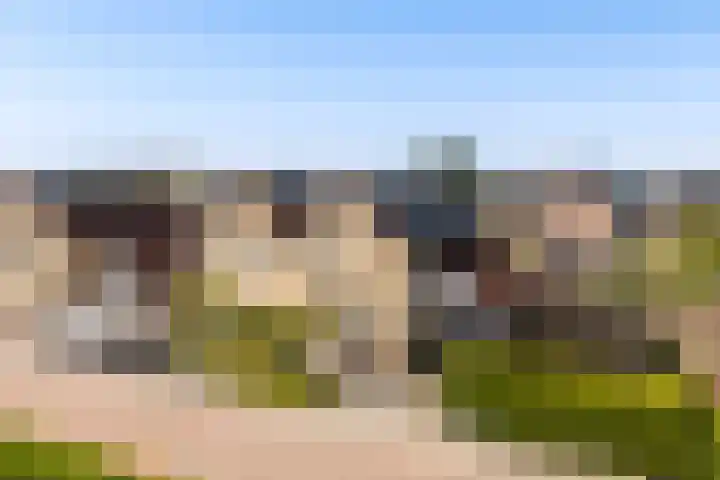 't Ganghout 2 St.-Annaparochie thumbnail 56