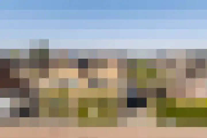 't Ganghout 2 St.-Annaparochie thumbnail 57