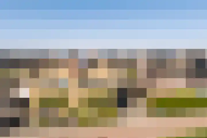 't Ganghout 2 St.-Annaparochie thumbnail 58