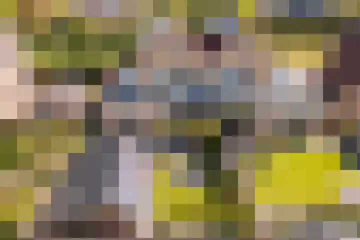 't Ganghout 2 St.-Annaparochie thumbnail 59