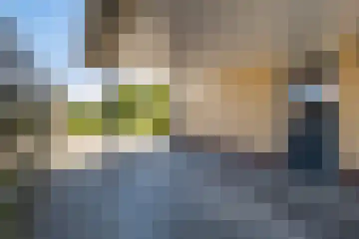 't Ganghout 2 St.-Annaparochie thumbnail 6