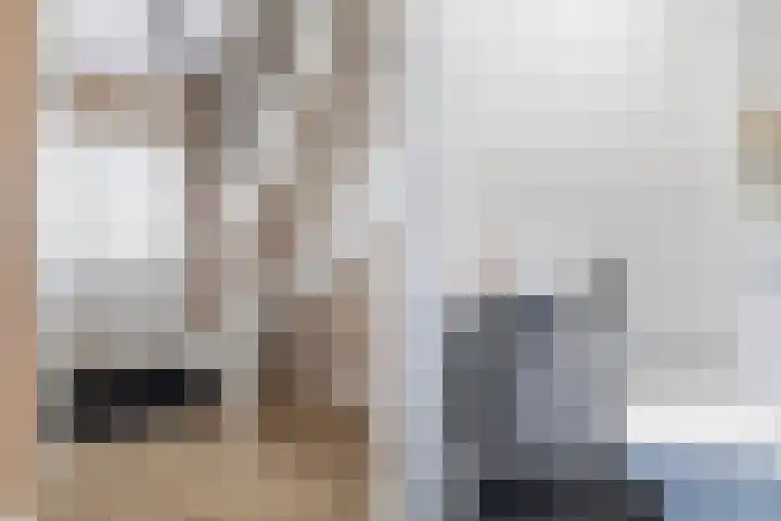 't Ganghout 2 St.-Annaparochie thumbnail 8