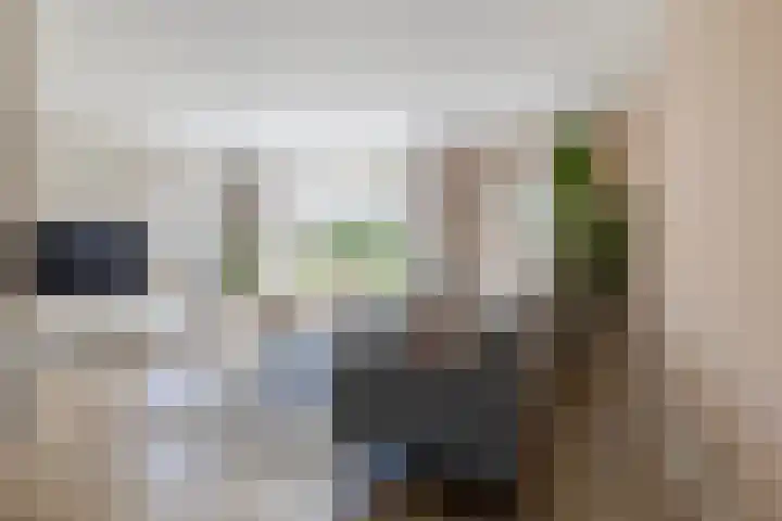 't Ganghout 2 St.-Annaparochie thumbnail 9