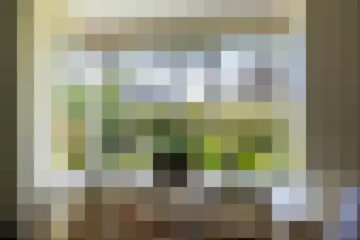 't Gebint 28 Zuidlaren thumbnail 12