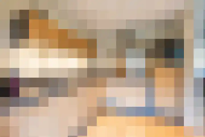 't Gebint 28 Zuidlaren thumbnail 19
