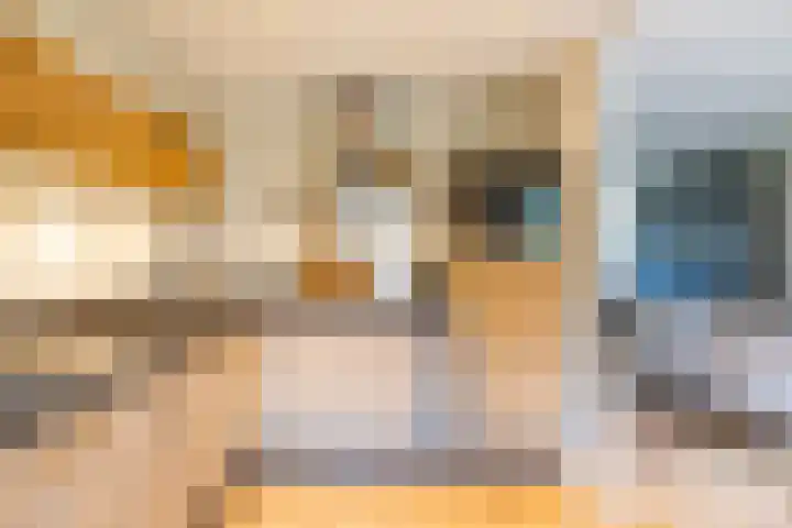 't Gebint 28 Zuidlaren thumbnail 20