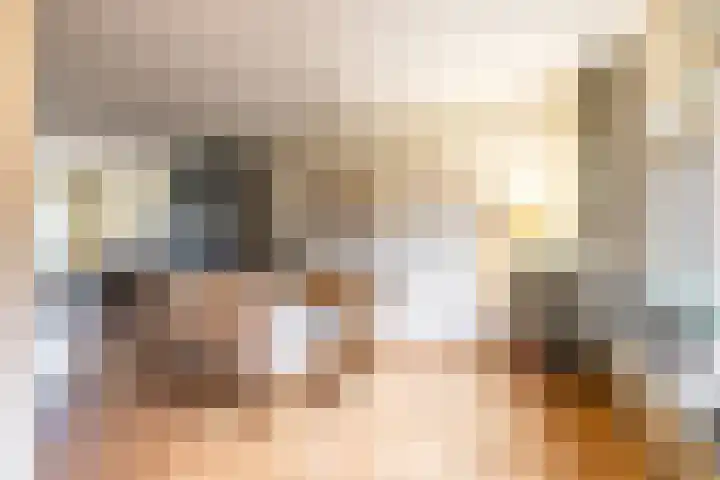 't Gebint 28 Zuidlaren thumbnail 21