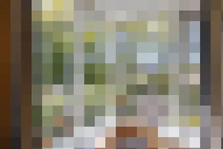 't Gebint 28 Zuidlaren thumbnail 24