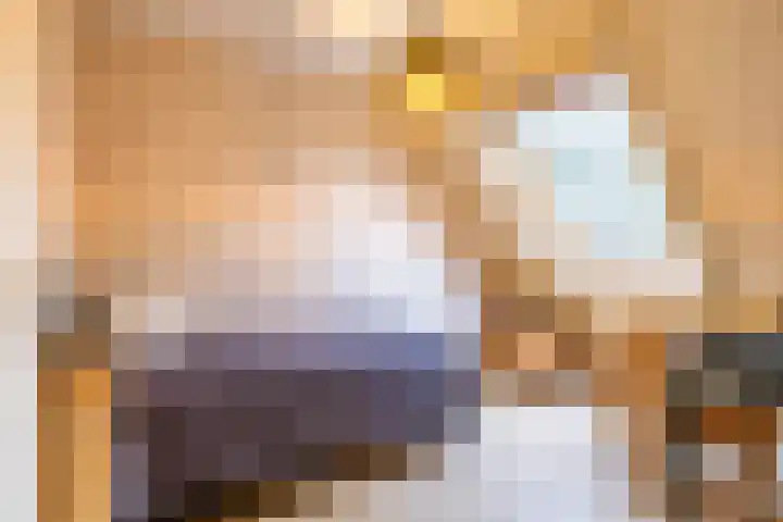 't Gebint 28 Zuidlaren thumbnail 25