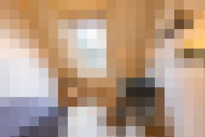 't Gebint 28 Zuidlaren thumbnail 26