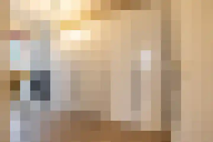 't Gebint 28 Zuidlaren thumbnail 27