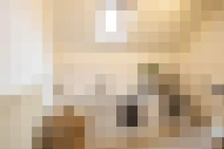 't Gebint 28 Zuidlaren thumbnail 30