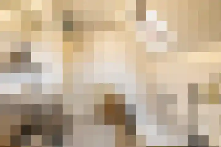 't Gebint 28 Zuidlaren thumbnail 33