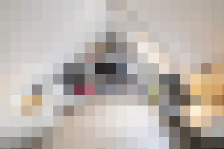 't Gebint 28 Zuidlaren thumbnail 34