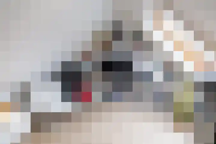't Gebint 28 Zuidlaren thumbnail 35