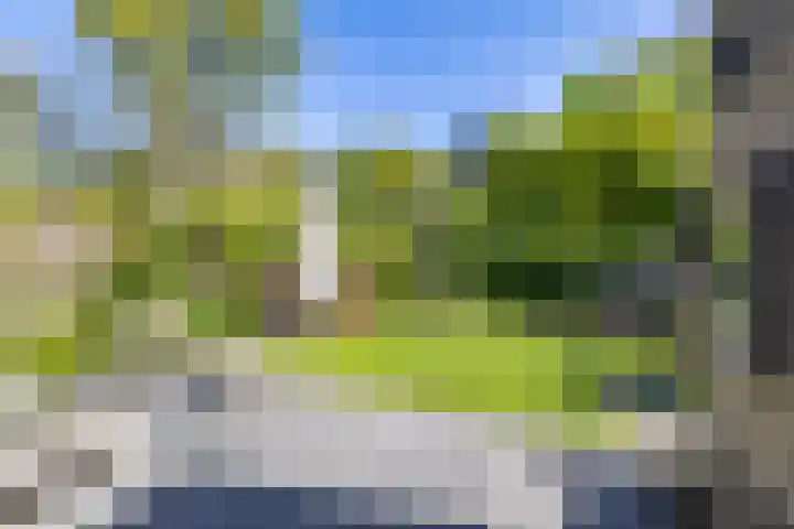 't Gebint 28 Zuidlaren thumbnail 38