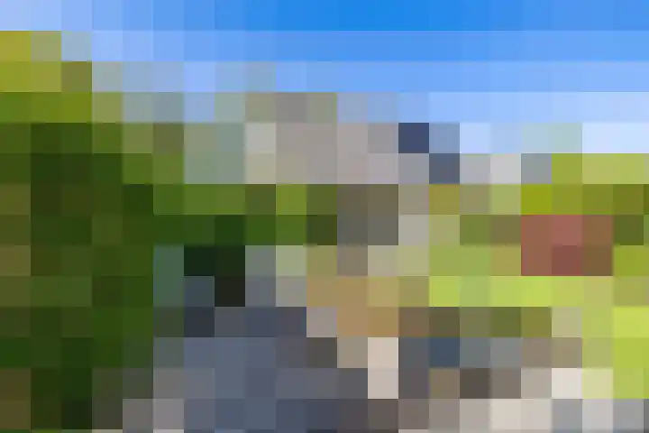 't Gebint 28 Zuidlaren thumbnail 4