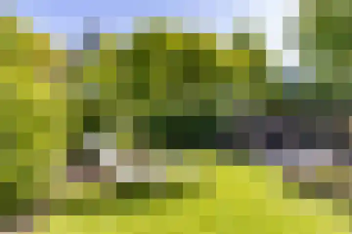't Gebint 28 Zuidlaren thumbnail 40