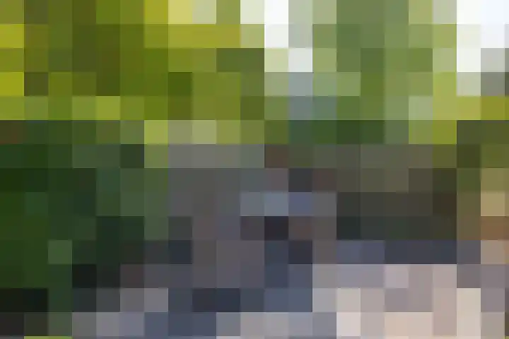't Gebint 28 Zuidlaren thumbnail 41