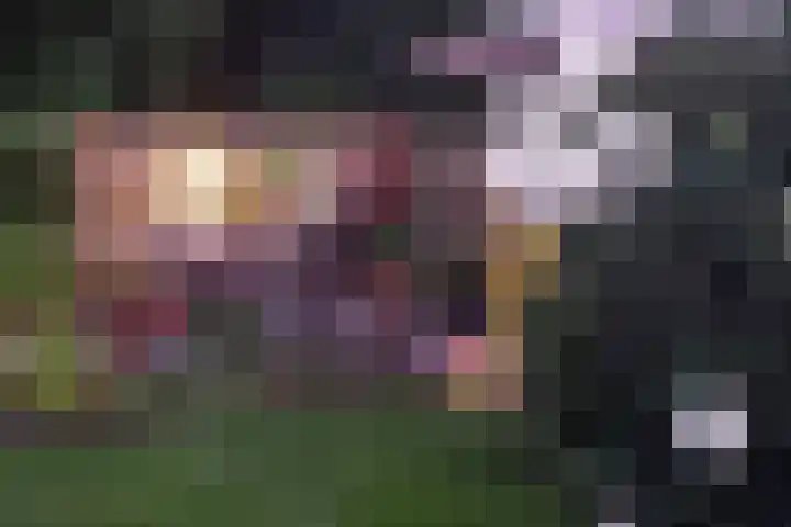 't Gebint 28 Zuidlaren thumbnail 42