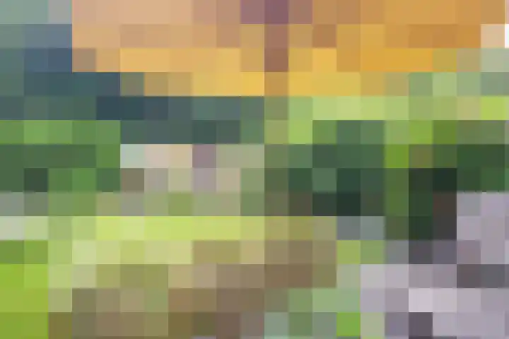 't Gebint 28 Zuidlaren thumbnail 43