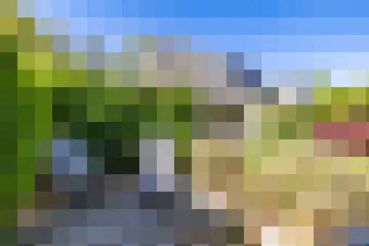 't Gebint 28 Zuidlaren thumbnail 46