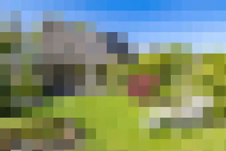 't Gebint 28 Zuidlaren thumbnail 47