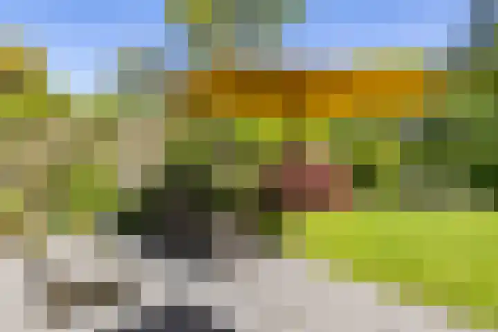 't Gebint 28 Zuidlaren thumbnail 48