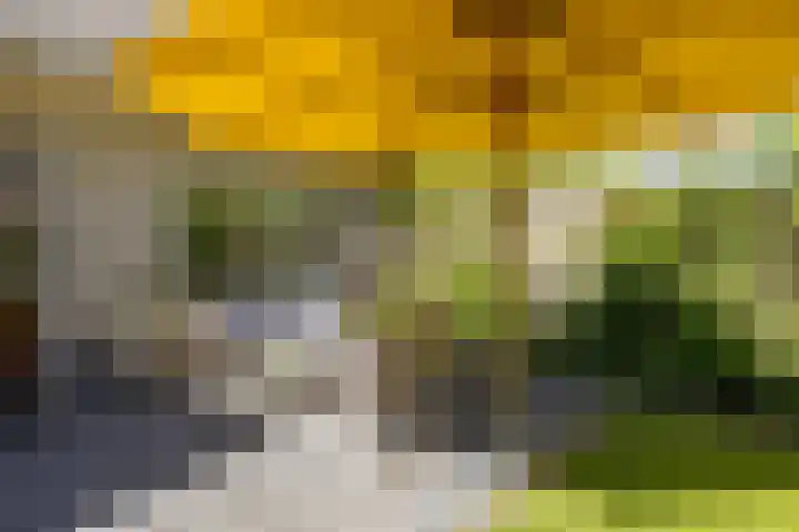 't Gebint 28 Zuidlaren thumbnail 49