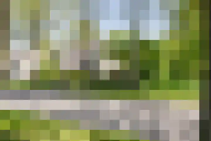 't Gebint 28 Zuidlaren thumbnail 5