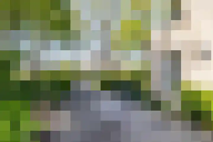 't Gebint 28 Zuidlaren thumbnail 52