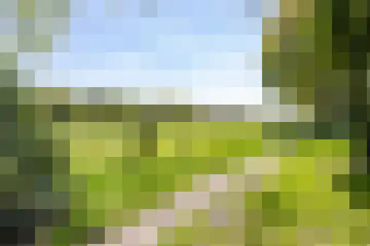 't Gebint 28 Zuidlaren thumbnail 54