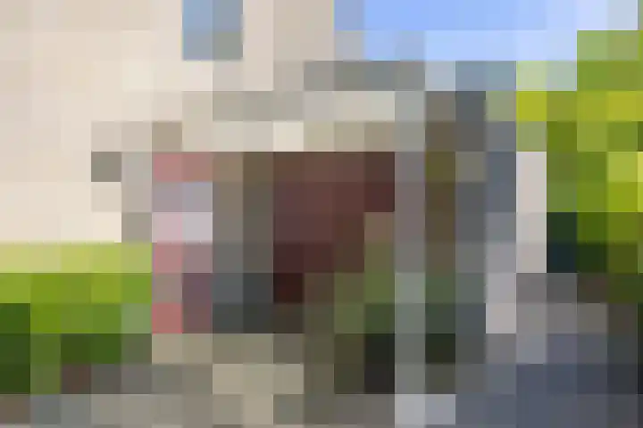 't Gebint 28 Zuidlaren thumbnail 6
