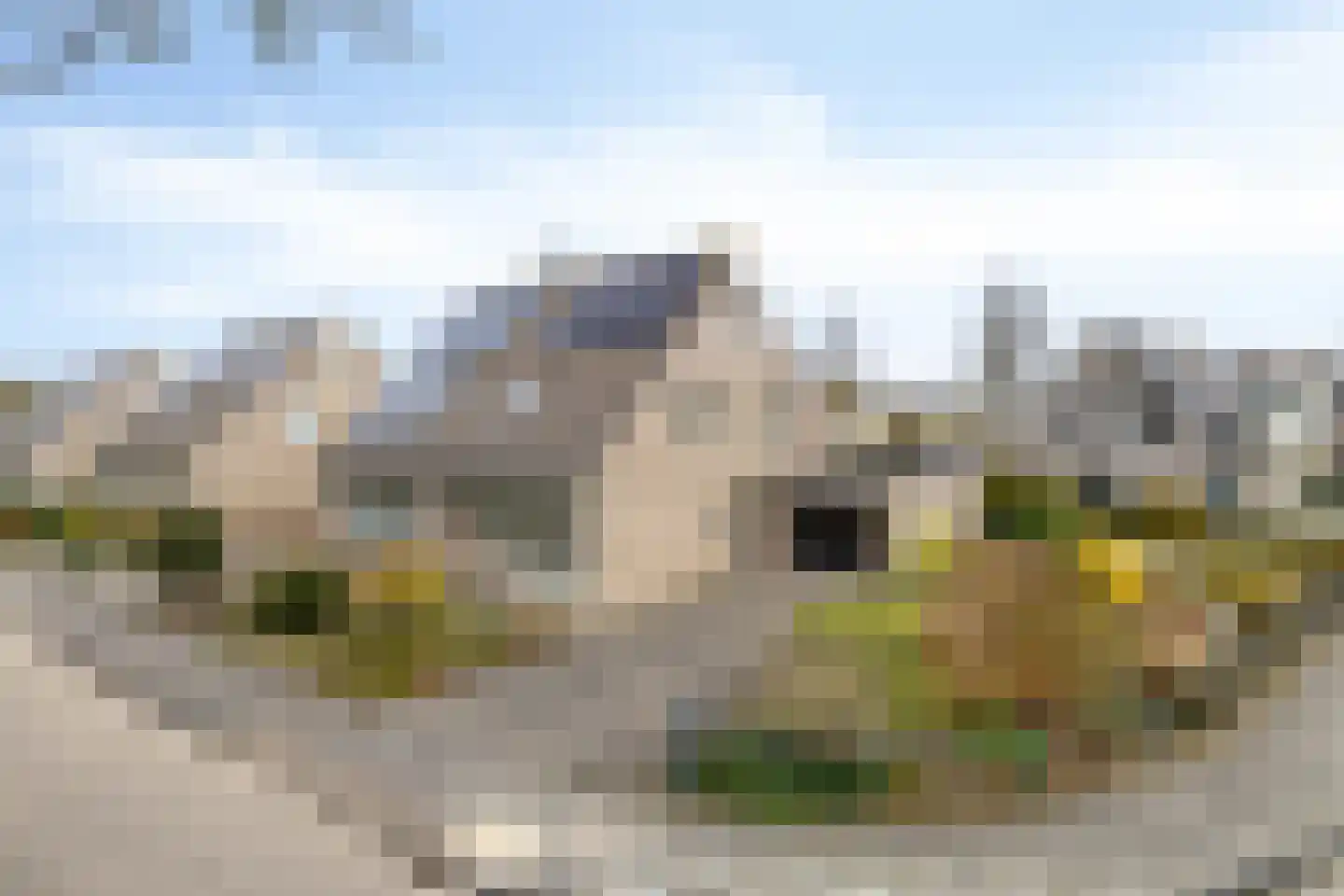 't Gebint 57 in Zuidlaren