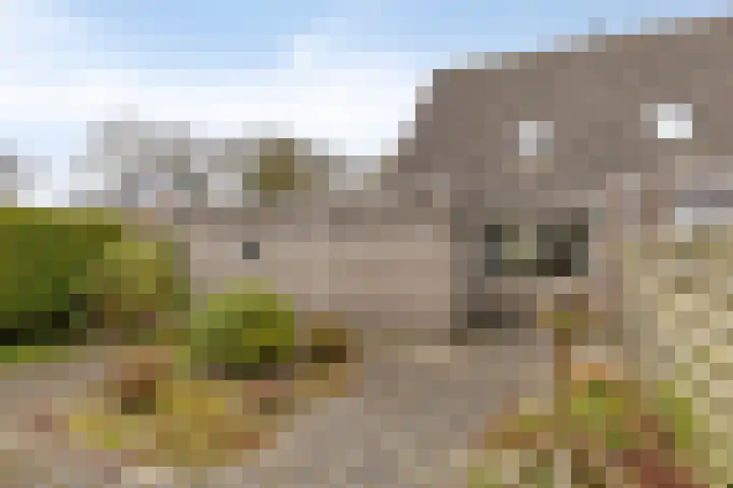 't Gebint 57 Zuidlaren thumbnail 27