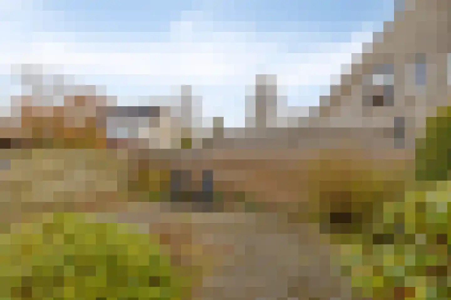 't Gebint 57 Zuidlaren thumbnail 29