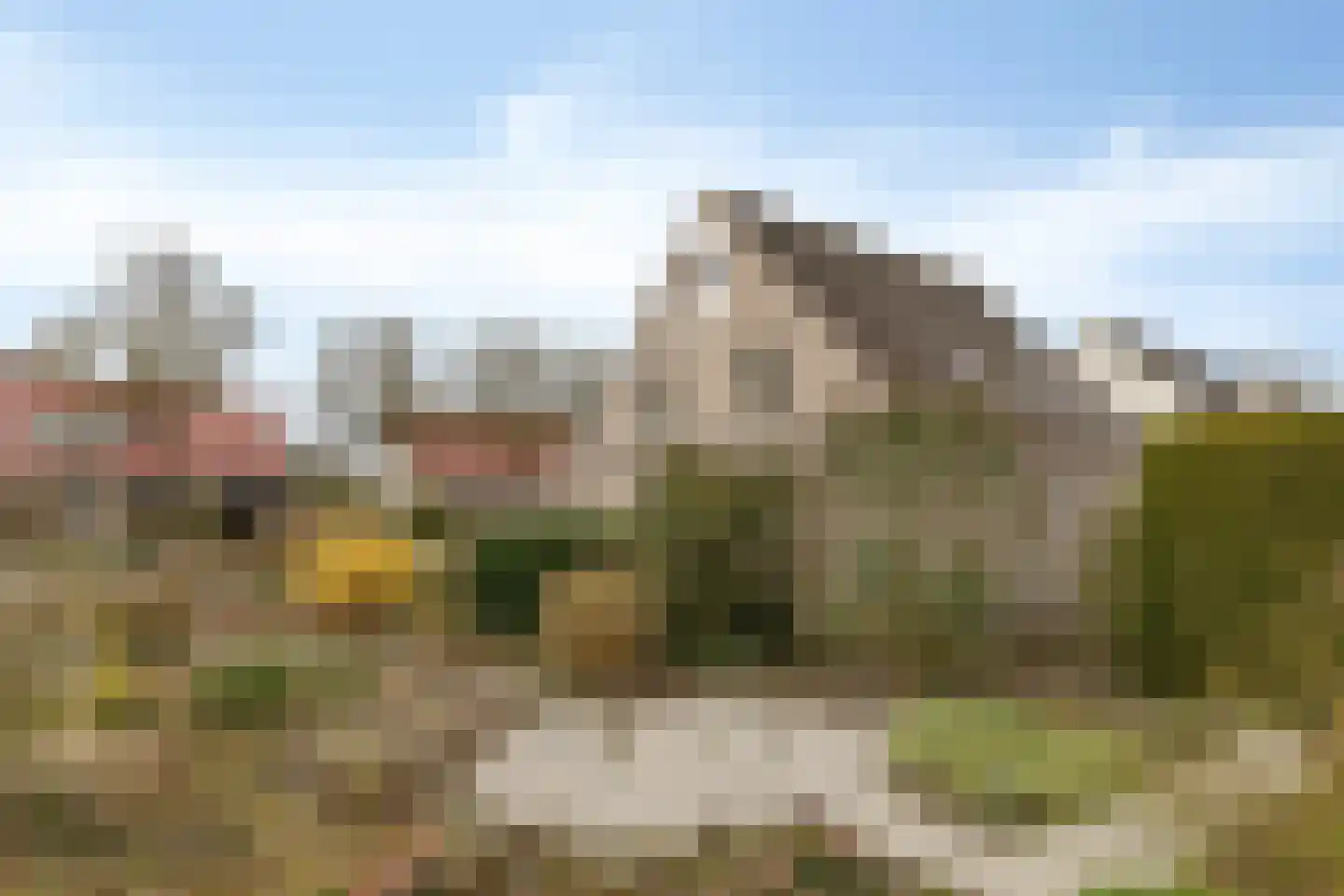 't Gebint 57 Zuidlaren thumbnail 30