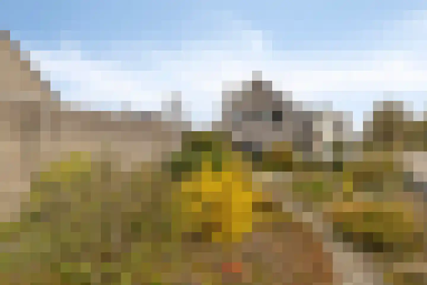 't Gebint 57 Zuidlaren thumbnail 31