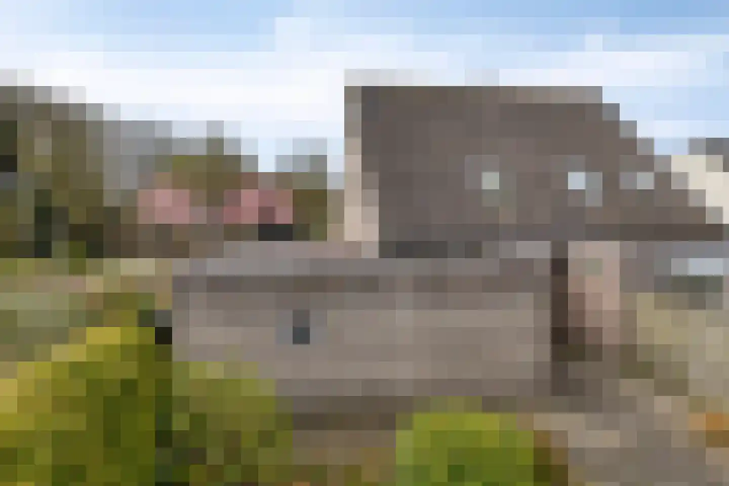 't Gebint 57 Zuidlaren thumbnail 32